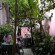 Pim Bed & Breakfast 