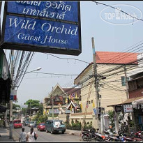 Wild Orchid Guest House 