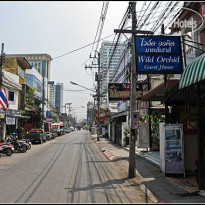 Wild Orchid Guest House 