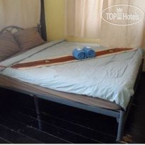 Wild Orchid Guest House 