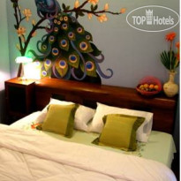 Siri House Bed & Breakfast 