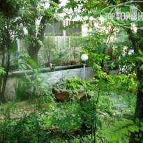 Ben Guesthouse & Restaurant Сад
