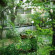 Ben Guesthouse & Restaurant Сад