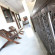Kim House Guest House 