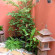 Chiang Mai Thai House 