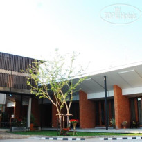 The White Elephant Home 