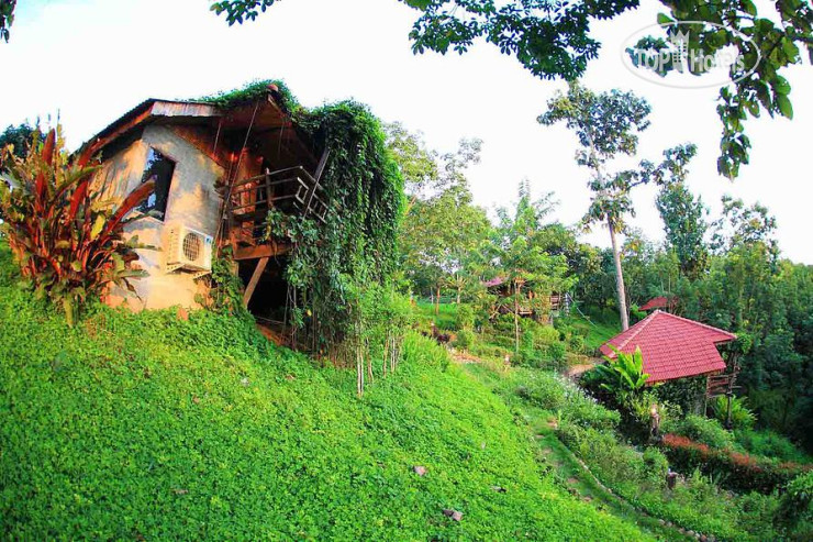 New photos from tourists Gobohouse Homestay 3*