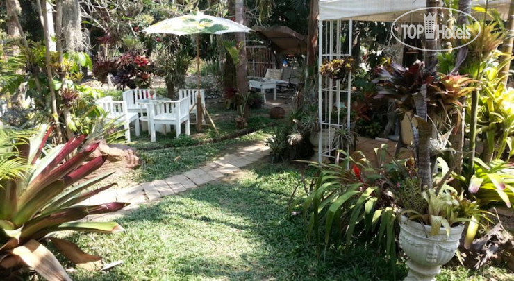 New photos from tourists Pallada Bromeliads Garden And Resort 2*