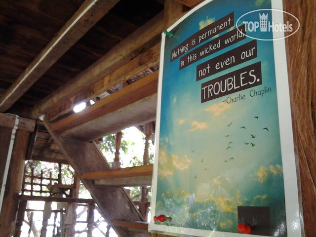 New photos from tourists Stonefree House 2*