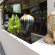 Thaphae Garden Guesthouse 