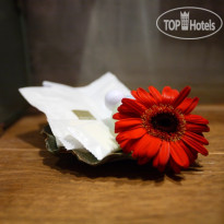 Chiangmai Boutique House