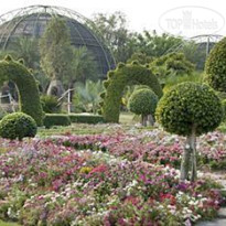 Horizon Village & Resort 