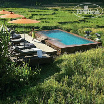 Four Seasons Resort Chiang Mai