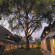 Tamarind Village 