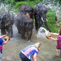 Veranda Resort & Spa Chiang Mai 