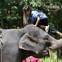 Veranda Resort & Spa Chiang Mai 