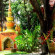Yaang Come Village 