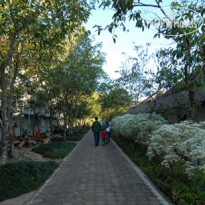 Doi Tung Lodge 