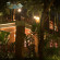 Suanthip Vana Resort 