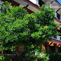 Ariya Inn Chiangrai