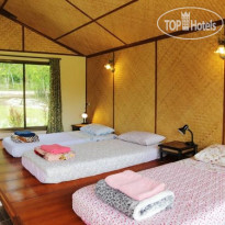 Museflower Retreat & Spa 