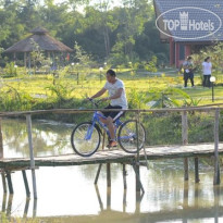 Museflower Retreat & Spa 