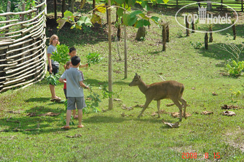 New photos from tourists Huaikhum Resort 3*