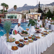 The Olive Tree Hotel