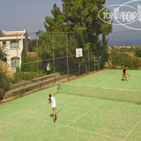 The Olive Tree Hotel