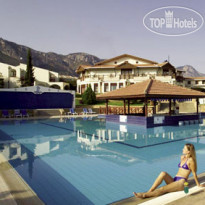 The Olive Tree Hotel