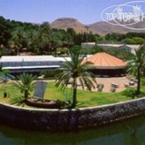 The Olive Tree Hotel