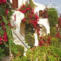 The Olive Tree Hotel