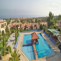 The Olive Tree Hotel