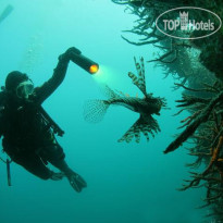 Puerto Del Sol Dive Resort 