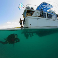 Puerto Del Sol Dive Resort 