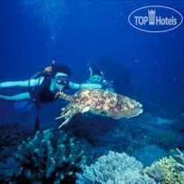 El Nido Resorts Lagen Island