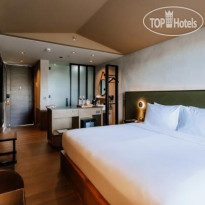 The Funny Lion El Nido 