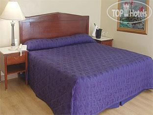 New photos from tourists Fleuris 3*