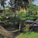 Hibiscus Garden Inn 