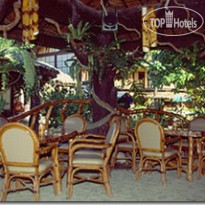 Garden of Eden Dive Resort 