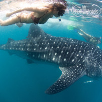 Misibis Bay Resort & Casino 