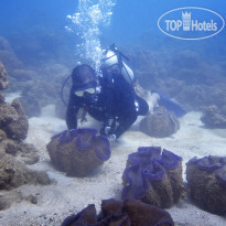 Misibis Bay Resort & Casino 