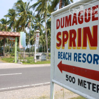 Dumaguete Springs Beach Resort