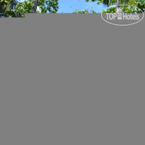 Camiguin Action Geckos Dive & Adventure Resort 