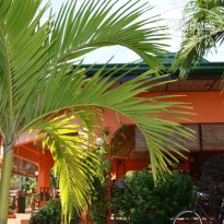 Bohol Sea Resort 