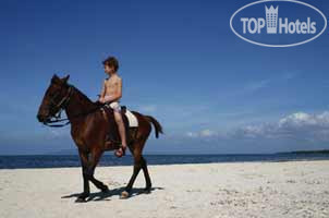 New photos from tourists Ananyana Beach Resort 3*