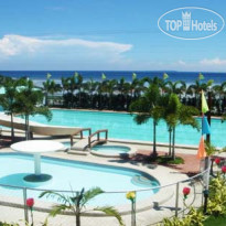 Bohol Coconut Palms 