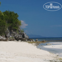 Flushing Meadows Island 