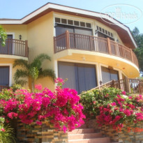 Flushing Meadows Island 