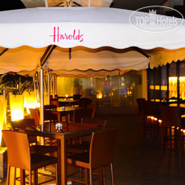 Harolds